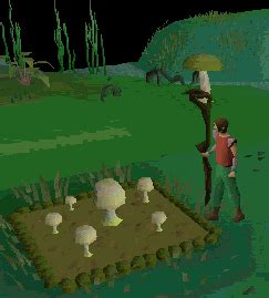 Resurrect crops is a new level 78 spell on the necromancy spellbook which gives you one 50 - 75 chance to bring a farming patch which has died back to life. . Osrs resurrect crops